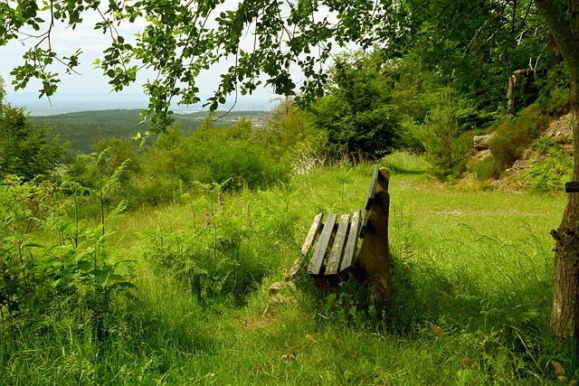 这一出人意 这一出人意