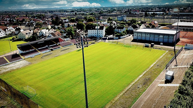 辉煌表现 辉煌表现